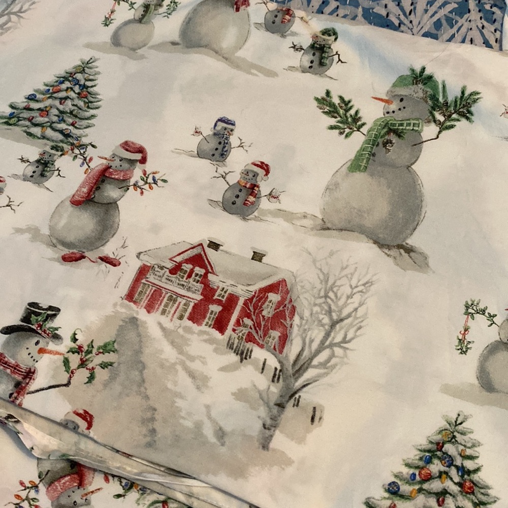Pottery Barn Winter Wonderland Queen Sheet Set - 100% Organic Cotton